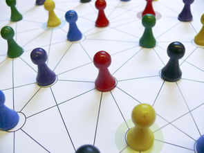 九游游戏中心官网-中国篮球教练员战术执行力提升路径分析，中国篮球教练员等级划分标准